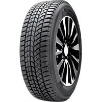 DoubleStar 205/60R16 92S Winterking DW02