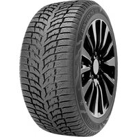 DoubleStar 205/60R16 92T Winterking DW08