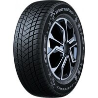 GT Radial 205/60R16 92H WinterPro 2